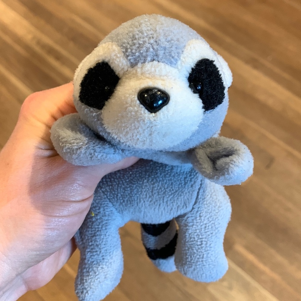 Raccoon 🦝